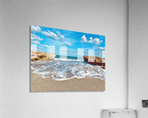 CoralCove1 Acrylic Print