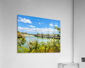Penut Island Acrylic Print