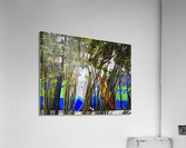 PaddleBoards Acrylic Print