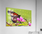 Monarch Acrylic Print
