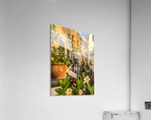 Amalfi III Acrylic Print