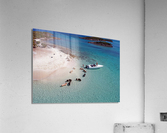 PigBeach Acrylic Print