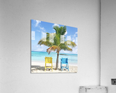 The Look Out Acrylic Print
