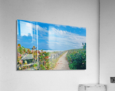 Beach Path II Acrylic Print