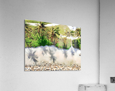 Palms n Sand Acrylic Print
