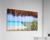 Juno Pier IV Acrylic Print