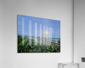IMG 8314 Acrylic Print