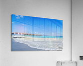 JunoPierRight Acrylic Print