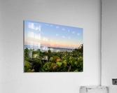IMG 8376 Acrylic Print