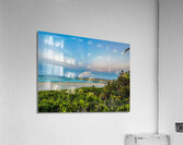 IMG 8387 Acrylic Print