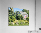 Barn in Maine Acrylic Print