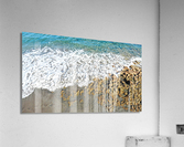 Coral Acrylic Print