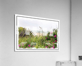Nantucket Sea Grass Acrylic Print