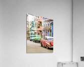 Havana I Acrylic Print