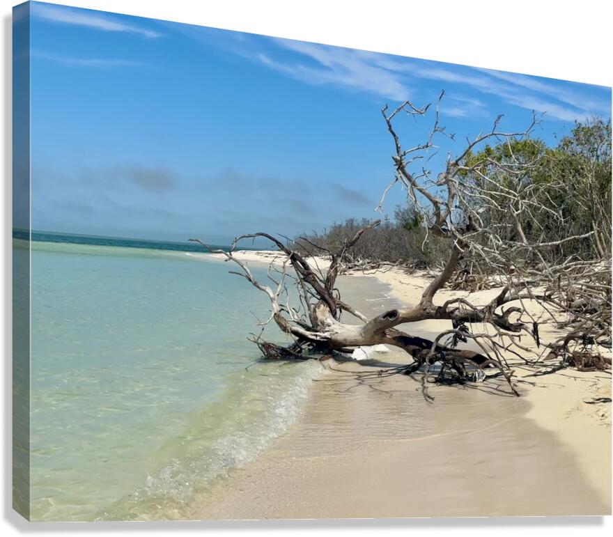 Boca Grande FL III Canvas Print