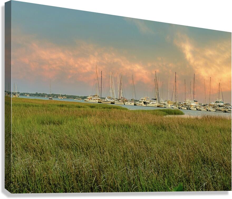 Charleston SC Marsh II Canvas Print