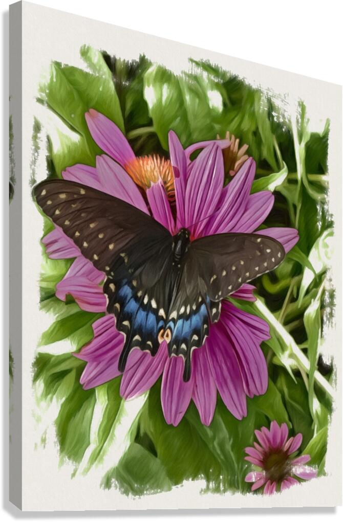 Butterfly II Canvas Print