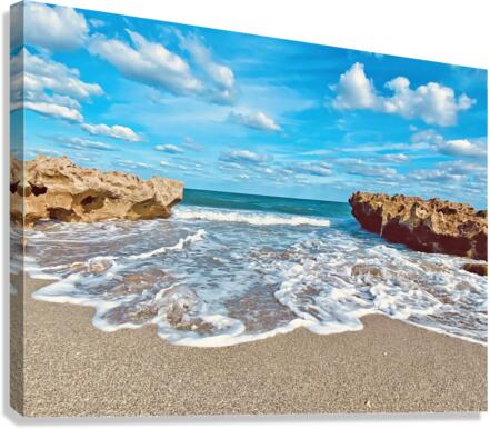 CoralCove1 Canvas Print