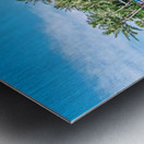 Guanabanas Metal print