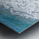 Coral Metal print
