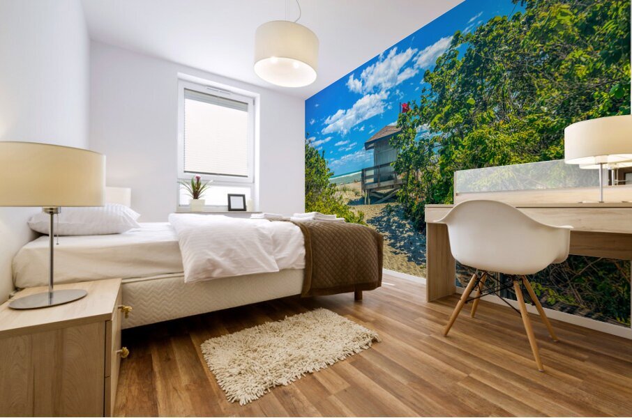 Beach Access  70 Impression murale