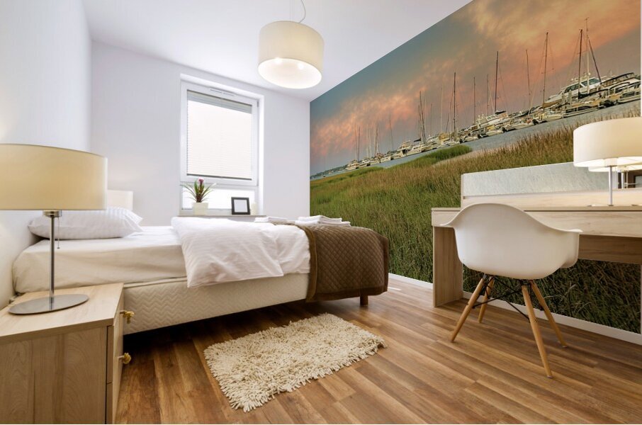 Charleston SC Marsh II Mural print