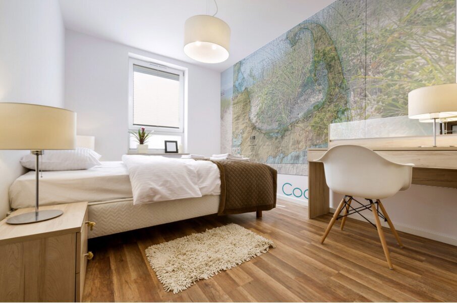 Cape Cod 2 Mural print