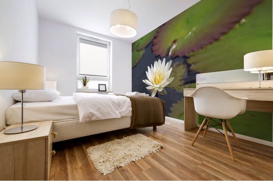 Water Lilly Mural print