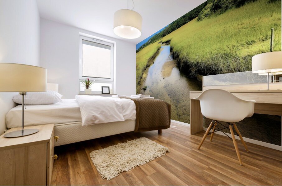 Marsh Mural print