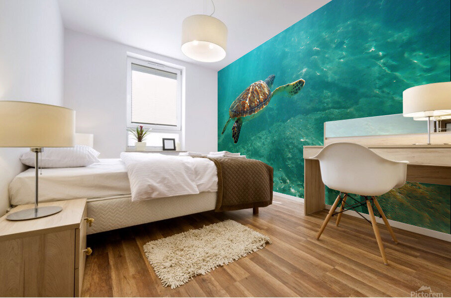 SeaTurtle10 Impression murale