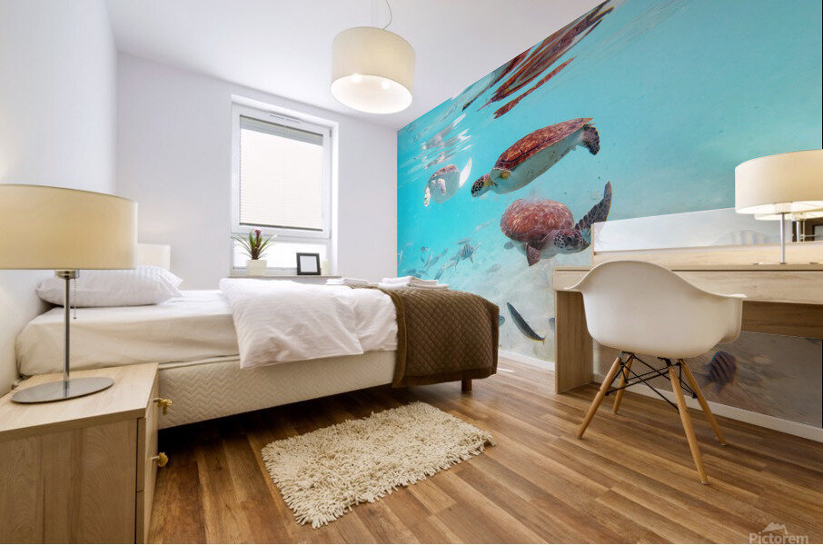 Sea Turtle 4 Mural print