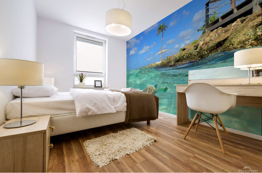 TurtleBay Mural print