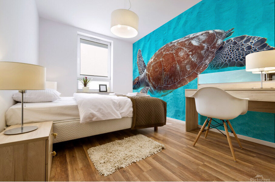 Sea Turtle 3 Mural print