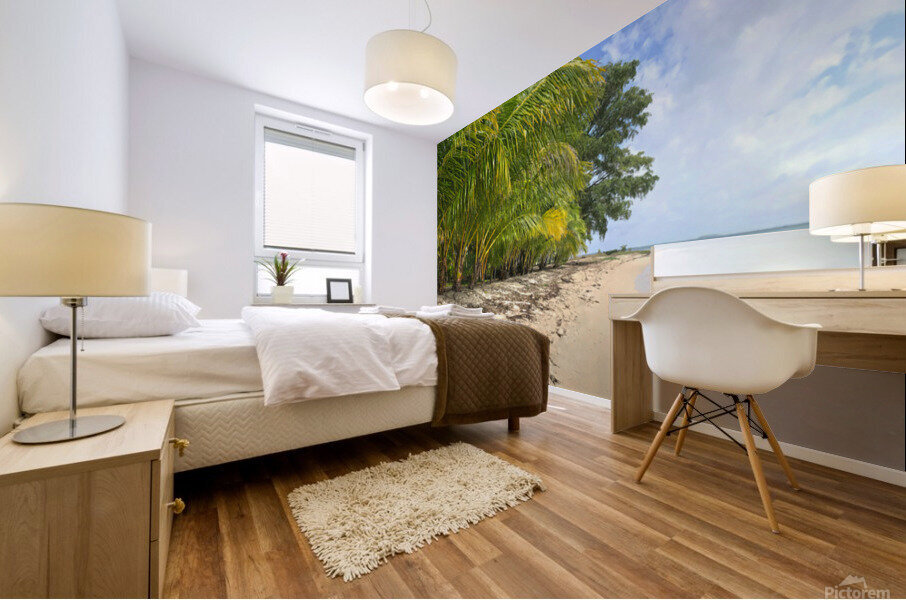 Bastimentos Beach Mural print