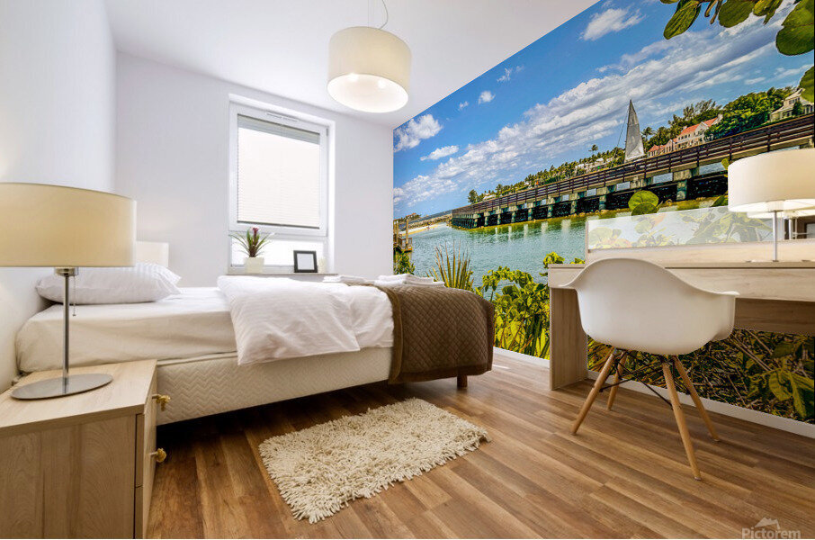 Penut Island Mural print