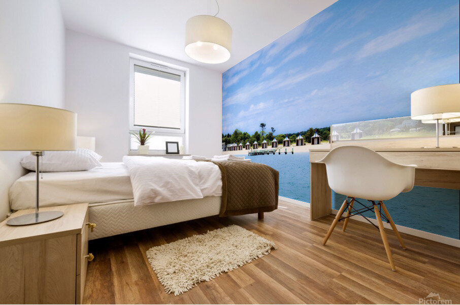 Chappy Point Beach Mural print