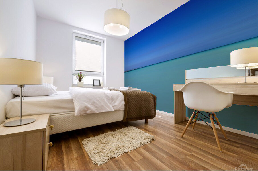 OceanVista Mural print