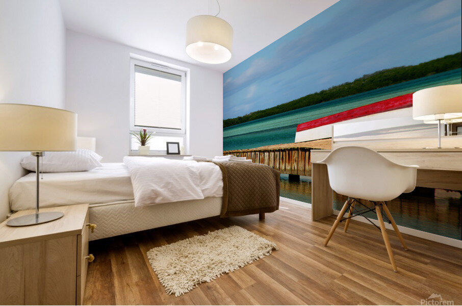 Bonaire Dock Mural print
