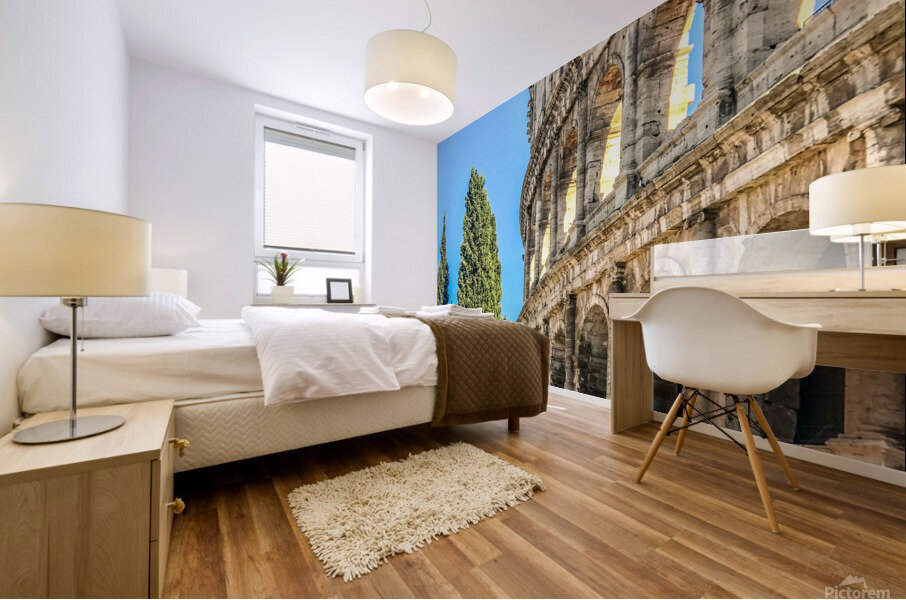Rome VI Mural print