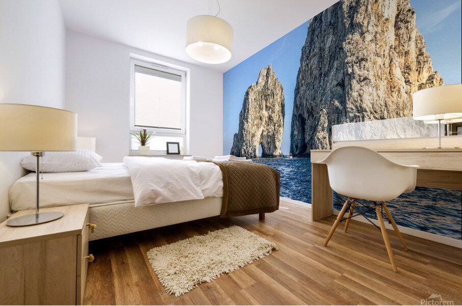 Capri Italy Mural print