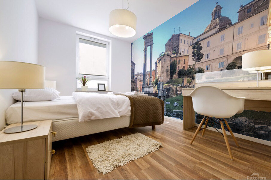 Rome II Mural print
