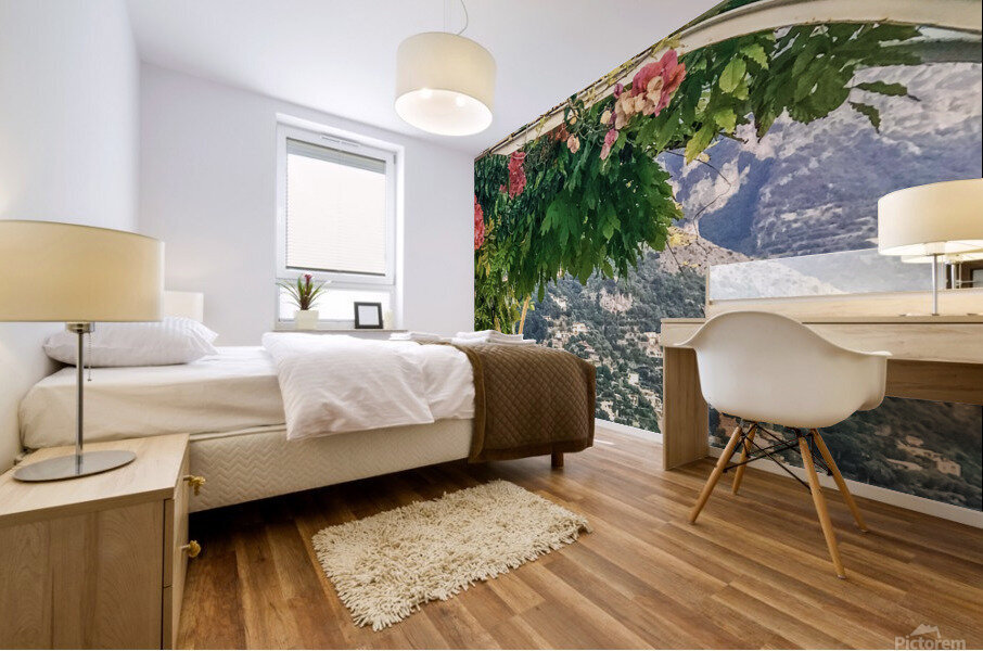 Positano VI Mural print