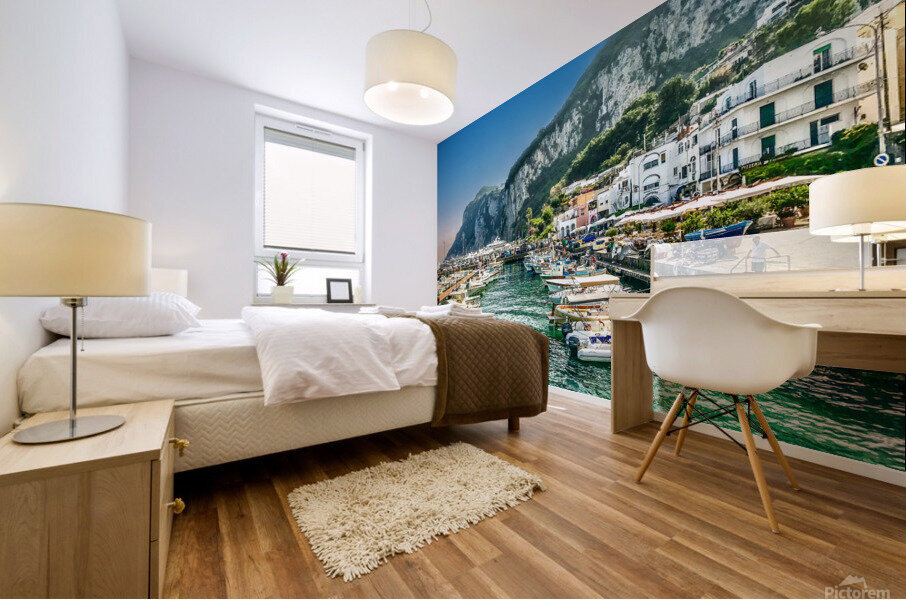 Capri Italy Mural print