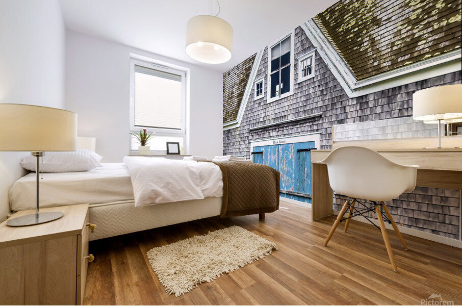 BIBarnDoor copy Mural print