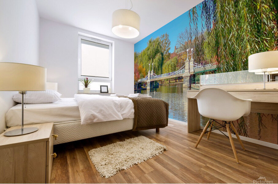 BostonPublicGarden Mural print
