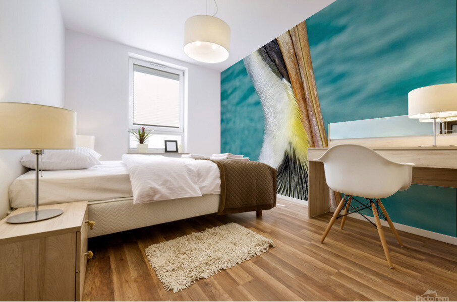 Pelican I Mural print