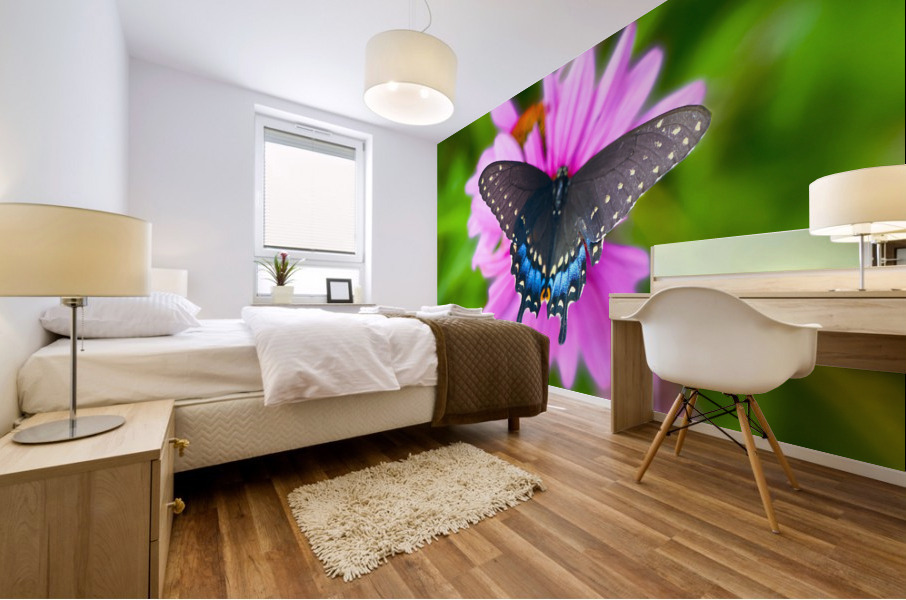 Black Swallowtail II Mural print