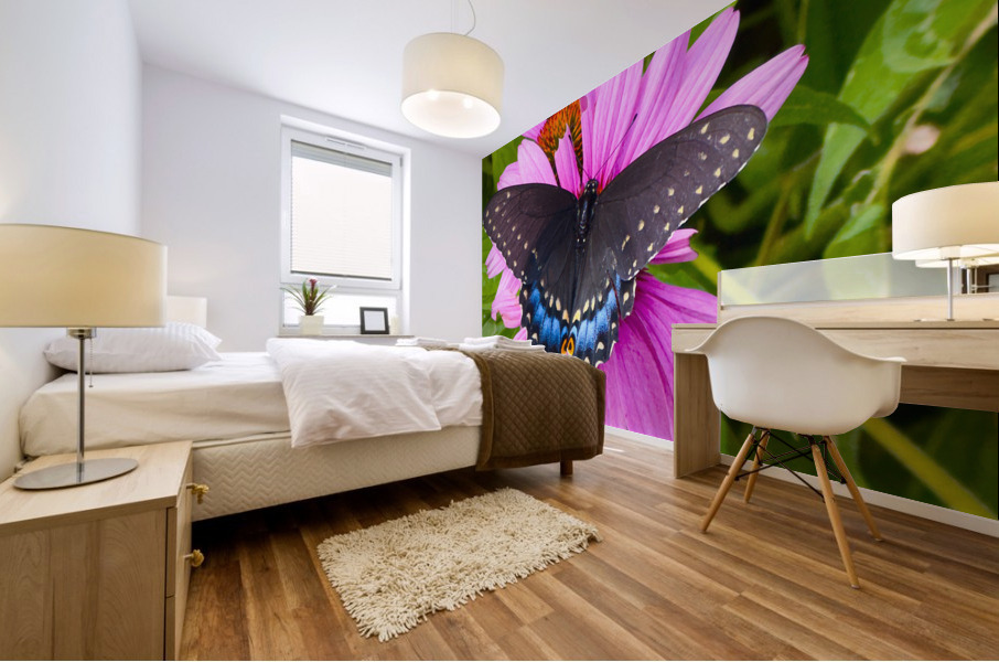 Black Swallowtail I Mural print