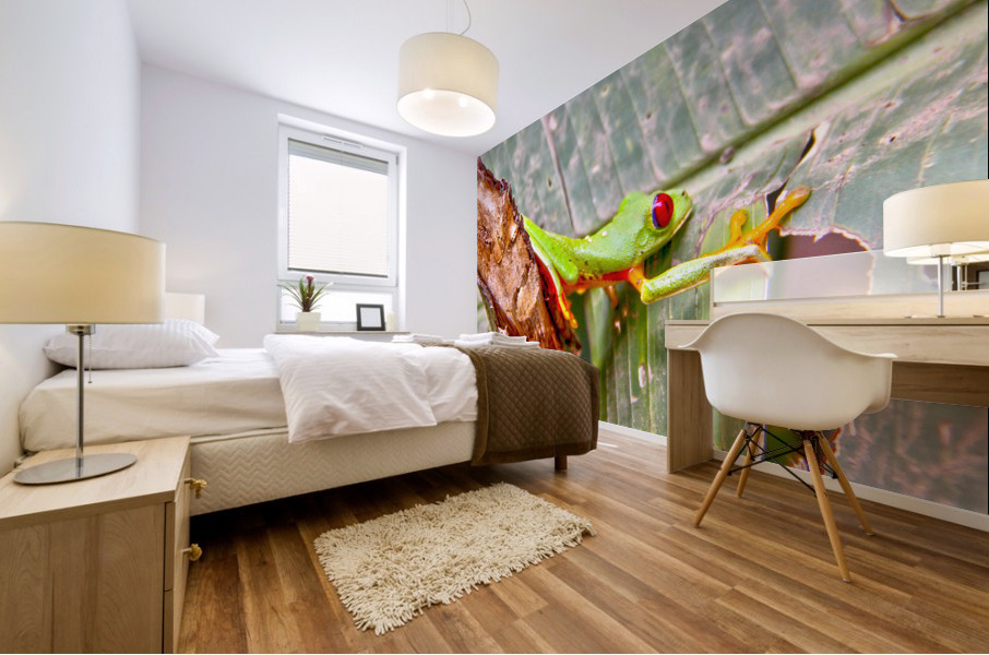 Green Frog Mural print