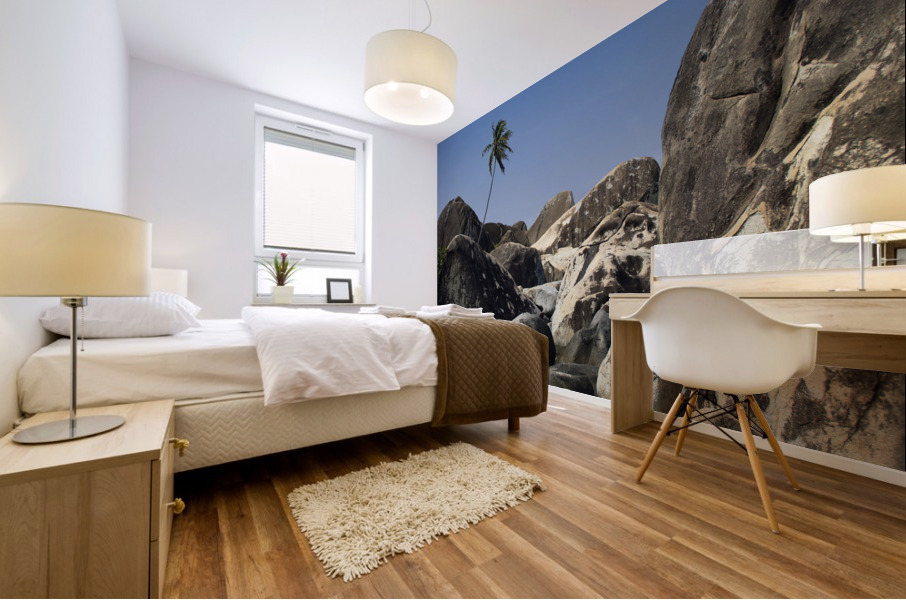 The Baths VG2 Mural print
